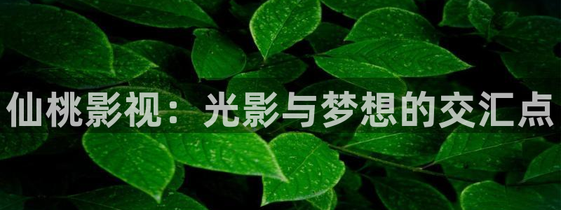 yy6090青苹果影院在线观看