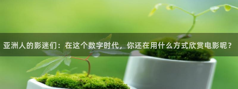 yy6090私人影院：亚洲人的影迷们：在这个数字时代，你还在用什么方式欣赏电影呢？