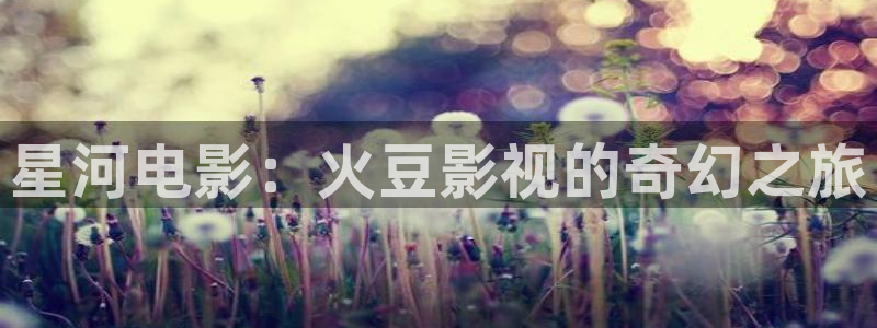 yy6090青苹果影院的播放量